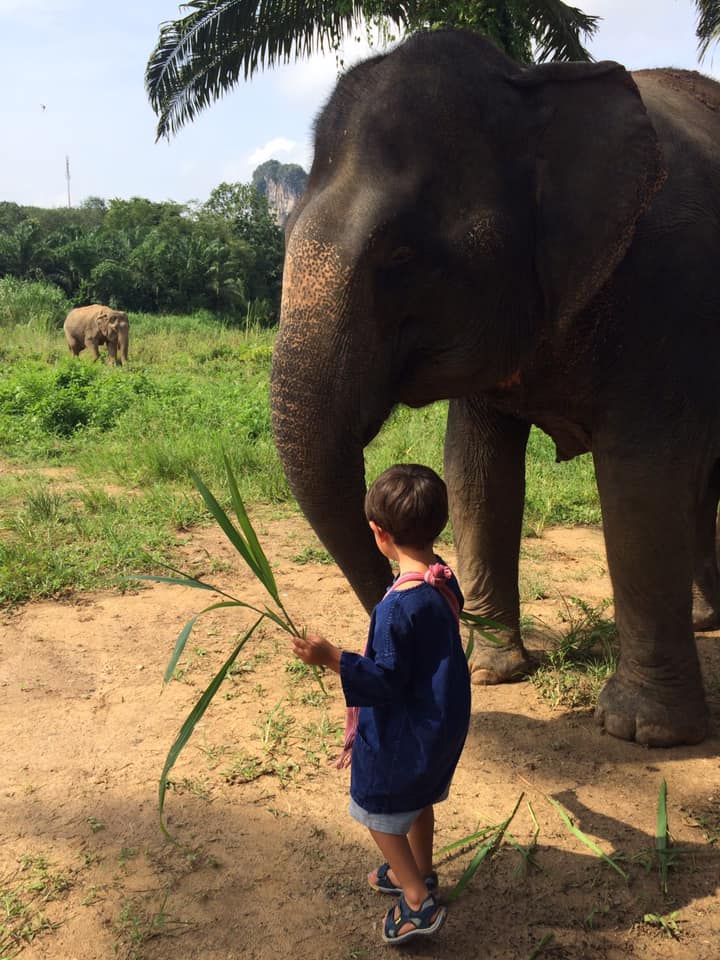 a Boy and Elephant - Things to Do in Krabi Province - Krabi Elephant House Sanctuary