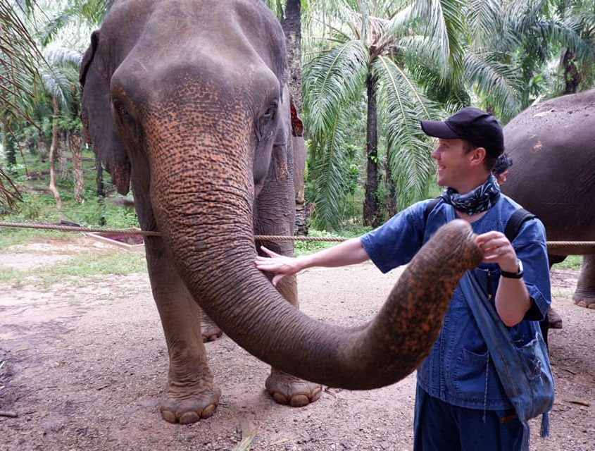 Feed the elephant - Things to Do in Krabi Province - Krabi Elephant House Sanctuary