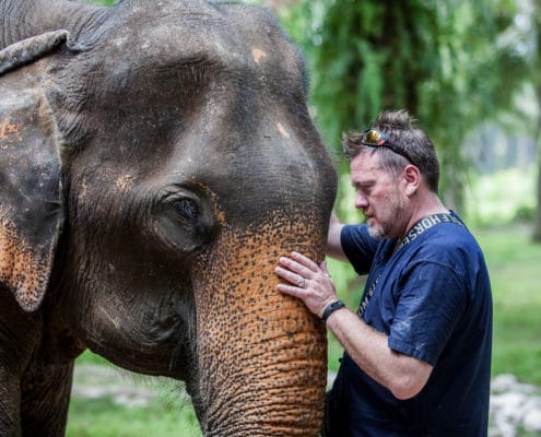 Elephant and a man - Krabi Elephant House Sanctuary