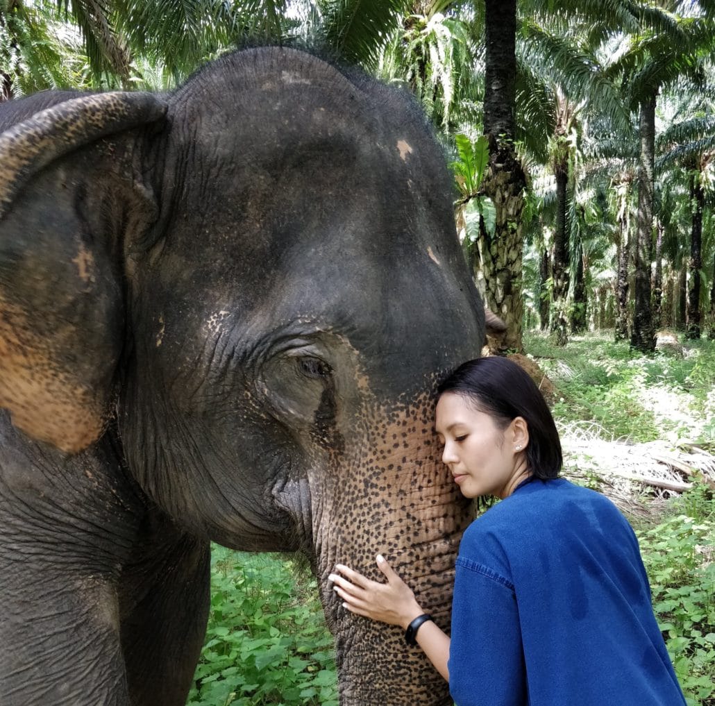 Signature pose - Krabi Elephant House Sanctuary