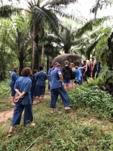 New group, greeting time, Krabi Elephant House Sanctuary