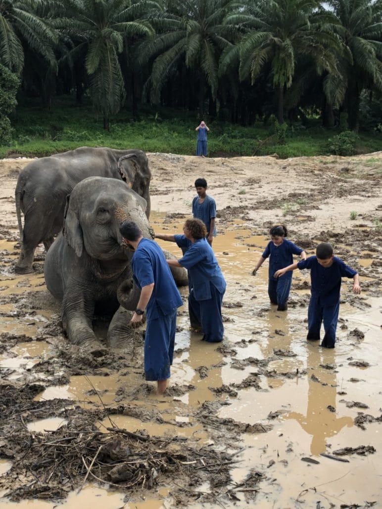 https://krabielephanthousesanctuary.com/wp-content/uploads/2018/08/S__7036934-772x1030.jpg?utm_source=chatgpt.com