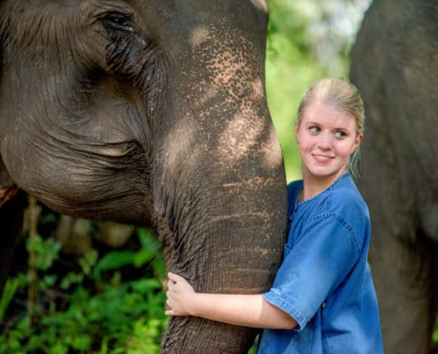Get close to the gentle giant elephants @Krabi Elephant House Sanctuary