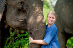 Get close to the gentle giant elephants @Krabi Elephant House Sanctuary