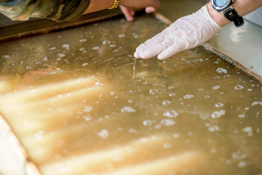 Making Paper from Elephant Dung, Krabi Elephant HOUSE Sanctuary