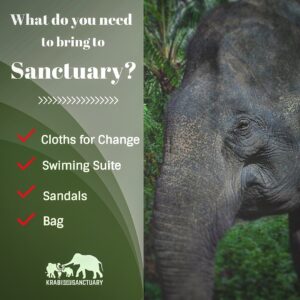What you need to bring at Sanctuary?