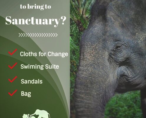 What you need to bring at Sanctuary?