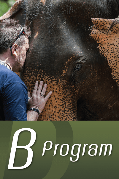 krabi elephant sanctuary tour
