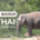 Thai Elephant Day
