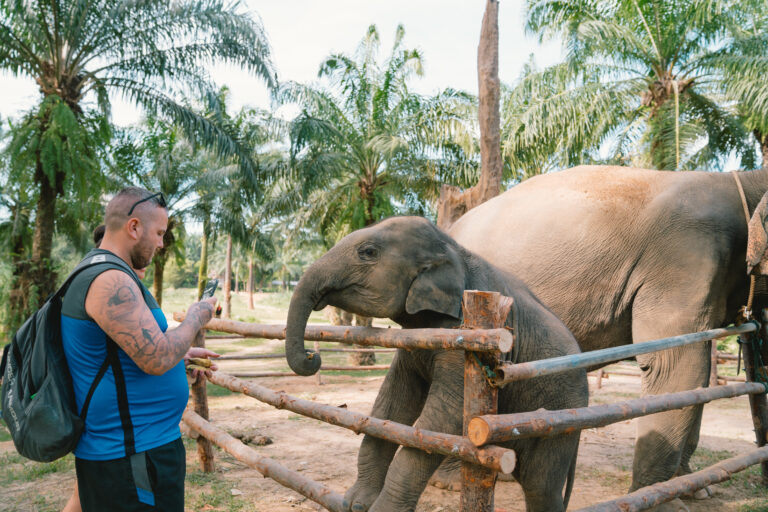 Feeding with elephants at Krabi Elephant House Sanctuary
