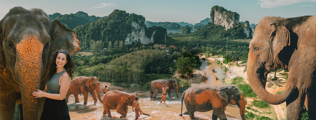 https://krabielephanthousesanctuary.com/wp-content/uploads/2023/06/Krabi-elephant_banner.png?utm_source=chatgpt.com